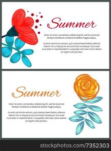 Summer set of colorful posters on white background. Vector illustration decorated with drawn in pencil flowers and branches with wide green leaves. Summer Set of Colorful Posters Vector Illustration