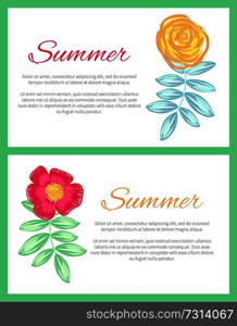 Summer set of two posters decorated with plants on white background. Vector illustration with pink and yellow flowers drawn in pencil and watercolors. Summer Set of Two Posters Vector Illustration