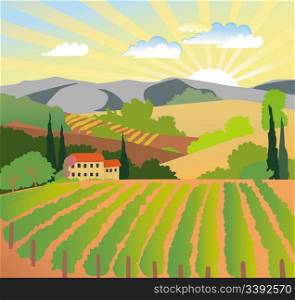 Summer solar rural landscape with a sunset, vineyard and mountains