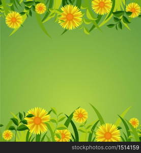Summer Spring Blooming Flower Nature with Fresh Green Background
