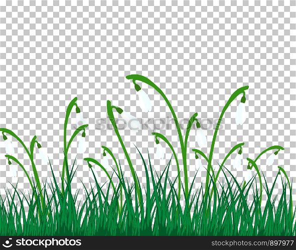 Summer (Spring) Medow. Transparency Grid Background Design. Vector Illustration.