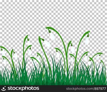 Summer (Spring) Medow. Transparency Grid Background Design. Vector Illustration.