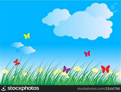 Summer - Spring Nature Background: Grass, Butterflies, Daisy Flowers and Blue Sky