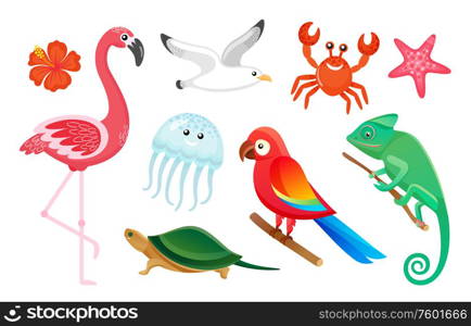 Summer symbols, exotic wild birds and animals vector. Flamingo and gull, jellyfish and crab, parrot and turtle, gecko and starfish isolated tropic species. Exotic Wild Birds and Animals, Summer Symbols
