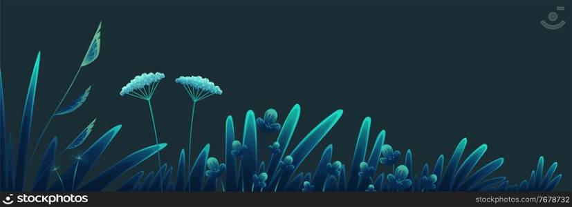 Summer time at night, navy blue background. Plants of fields and forests close-up. Vector vintage botanical illustration. Meadow grass, dandelion, chamomile, tansy. Medicinal plants. Flat vector. Meadow plants, forest grass at night, vegetation, flowers and stems close-up on blue background. Flat image