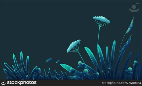 Summer time at night, navy blue background. Plants of fields and forests close-up. Vector vintage botanical illustration. Meadow grass, dandelion, chamomile, tansy. Medicinal plants. Flat vector. Meadow plants, forest grass, vegetation, flowers and stems close-up on blue background. Flat image