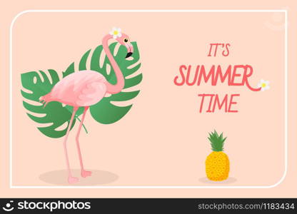 Summer Time with Flamingo and with tropical leaf and fruit banner , vector illustration