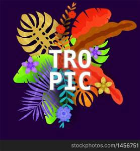 Summer trendy tropical leaves exotical plants palm jungle leaf. Summer trendy tropical leaves exotical plants palm jungle leaf. Trending colors on dark background template banner. Vector illustration isolated