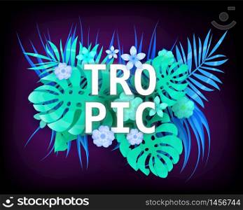 Summer Tropic trendy neon tropical leaves exotical plants palm jungle leaf. Summer Tropic trendy neon tropical leaves exotical plants palm jungle leaf. Trending colors on dark background template banner. Vector illustration isolated