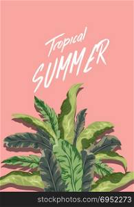Summer tropical background. Palm and banana leaves