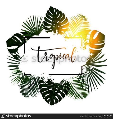 Summer tropical background with exotic palm leaves and plants. Vector background.