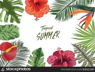 Summer tropical background with flowers. Background with tropical plants - flowers and plants nature