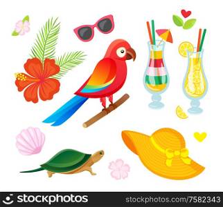 Summer tropical elements, parrot bird, cocktails and flowers, beach hat, shell and sunglasses. Objects isolated on white, collection for decoration vector. Collection for Decoration, Summer Elements Vector