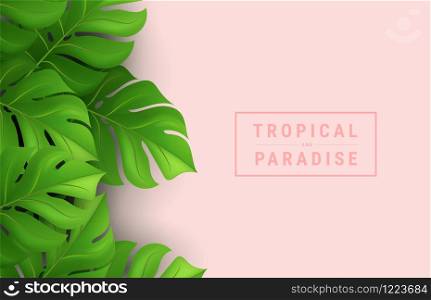Summer tropical vector design for banner or flyer with dark green palm leaves and lettering on pink background