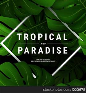 Summer tropical vector design for banner or flyer with dark green palm leaves and lettering