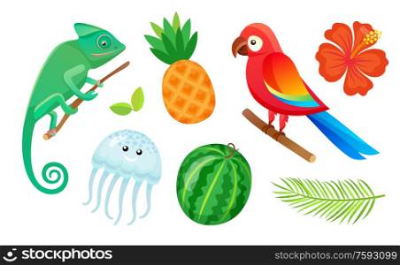 Summer vacation, exotic animals, fruits and plants isolated vector. Gecko and pineapple, jellyfish and watermelon, parrot and hibiscus flower, palm leaf. Exotic Animals, Fruits and Plants, Summer Vacation