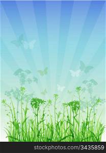 Summer vector floral background with green grass
