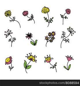 Summer wildflowers collectoin in simple doodle style. Perfect for tee, stickers, poster, card. Isolated vector illustration for decor and design.