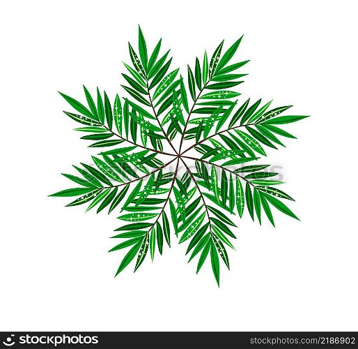 Summer wreath with green leaf