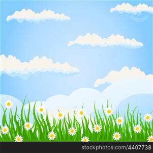 Summer3. Grass on a meadow and the blue sky. A vector illustration