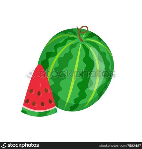 Summertime harvesting, watermelon whole and piece vector, isolated. Fresh berry with seeds, juicy ingredient, tropical meal or food refreshment in summer. Watermelon Sweet Fruit Sliced Exotic Berry Icon