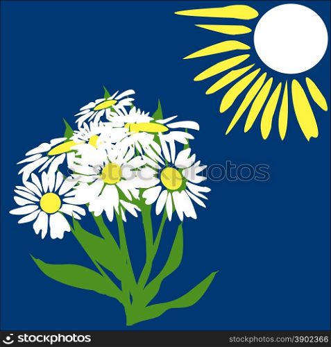 Sun and daisies