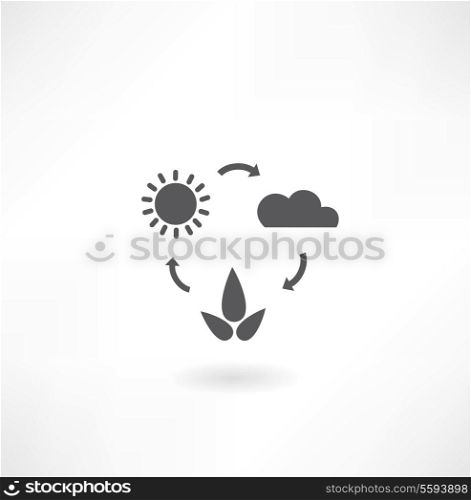 sun, clouds, plant arrow icon