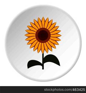 Sun flower icon in flat circle isolated vector illustration for web. Sun flower icon circle