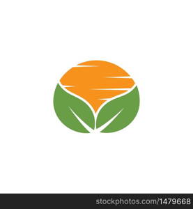 Sun Vector illustration Icon Logo Template design