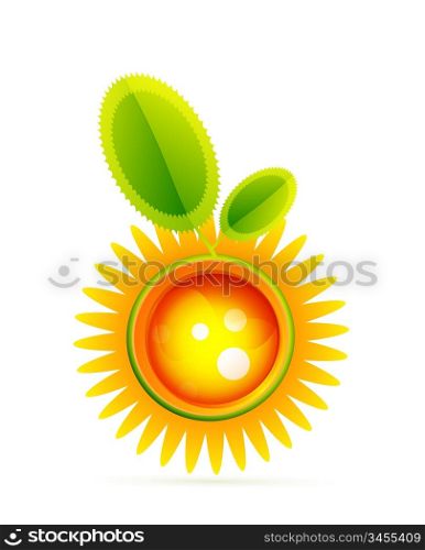 Sun with leaves. Nature concept