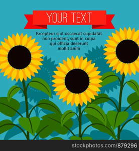 Sunflower beautiful card with place for text. Vector illustration. Sunflower beautiful card