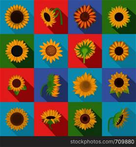 Sunflower blossom icons set. Flat illustration of 16 sunflower blossom vector icons for web. Sunflower blossom icons set, flat style