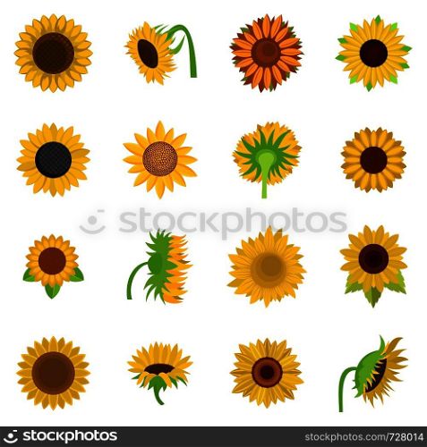 Sunflower blossom icons set. Flat illustration of 16 sunflower blossom vector icons isolated on white. Sunflower blossom icons set vector isolated