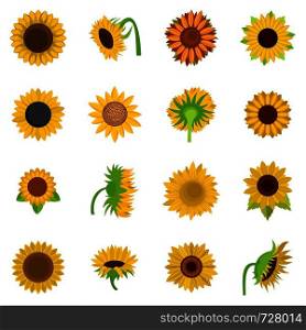 Sunflower blossom icons set. Flat illustration of 16 sunflower blossom vector icons isolated on white. Sunflower blossom icons set vector isolated