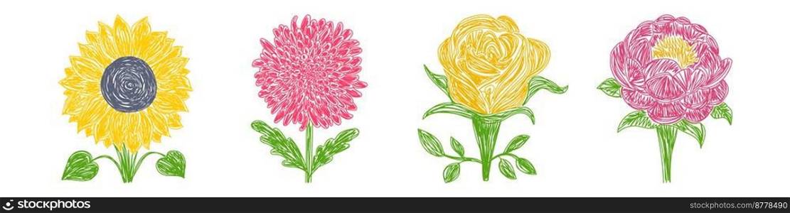 Sunflower, chrysanthemum, rose and peony flowers set. Hand drawn floral vector illustrations. Pen or marker sketch. Hand drawn natural pencil drawing.