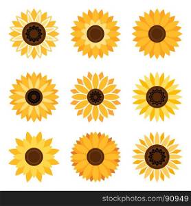 Sunflower emblem set. Sunflower plant icons isolated on white background. Vector flat beautiful sunflowers