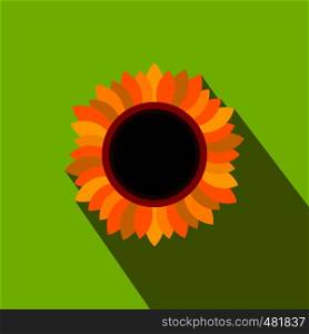 Sunflower flat icon with long shadow on a green background . Sunflower flat icon