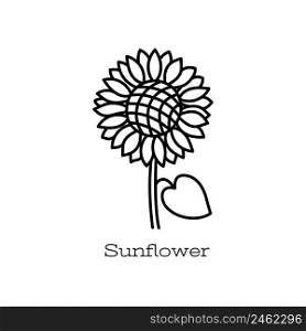 Sunflower flower. Doodle vector hand drawn line sketch. Floral illustration for coloring book.. Sunflower flower. Doodle vector hand drawn line sketch. Floral illustration for coloring book