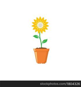 sunflower growing in pot icon vector illustration design template web