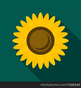 Sunflower icon. Flat illustration of sunflower vector icon for web design. Sunflower icon, flat style
