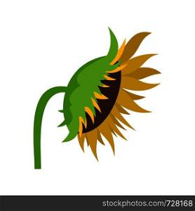 Sunflower icon. Flat illustration of sunflower vector icon for web. Sunflower icon, flat style
