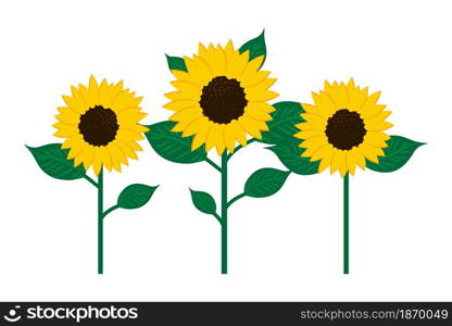 Sunflower icon. Flower stem. Nature concept. Agriculture background. Hand drawn picture. Vector illustration. Stock image. EPS 10.. Sunflower icon. Flower stem. Nature concept. Agriculture background. Hand drawn picture. Vector illustration. Stock image.