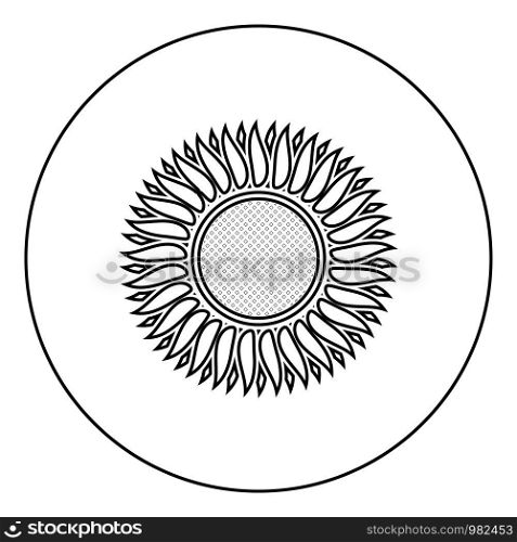 Sunflower icon in circle round outline black color vector illustration flat style simple image. Sunflower icon in circle round outline black color vector illustration flat style image