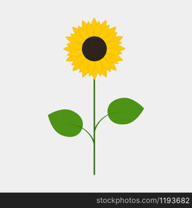 Sunflower icon isolated on white background. Sunflower isolated on white background