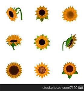Sunflower icons set. Cartoon set of 9 sunflower vector icons for web isolated on white background. Sunflower icons set, cartoon style