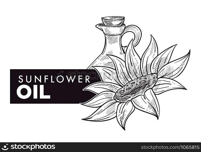 Sunflower oil poured in glass bottle text and flower vector monochrome sketch outline colorless floral plant with seeds and oily liquid stored in container food seasoning ingredient with fat.. Sunflower oil poured in glass bottle text and flower