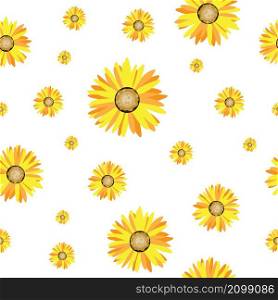 Sunflower on white background. Seamless pattern. Vector illustration.