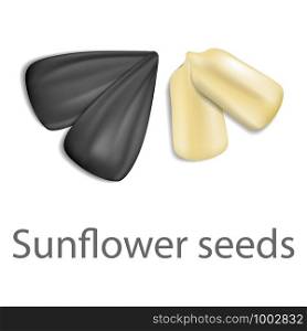 Sunflower seeds mockup. Realistic illustration of sunflower seeds vector mockup for web design isolated on white background. Sunflower seeds mockup, realistic style