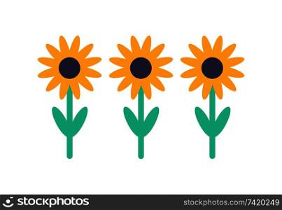 Sunflower set front view isolated vector icon. Collection of yellow flowers with green leaves, badge in cartoon style, seamless pattern for wallpaper. Sunflower Set Front View Isolated Vector Icon