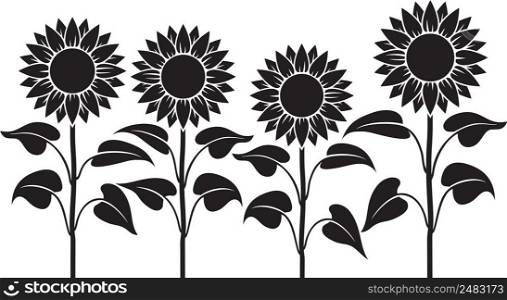 Sunflower Stem Black and white. Vector illustration.
